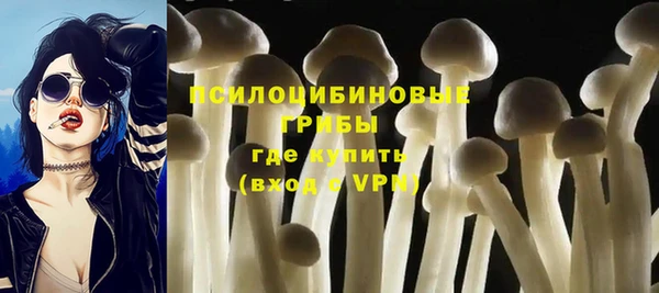 бошки Алексин