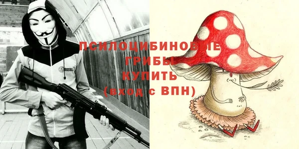 бошки Алексин