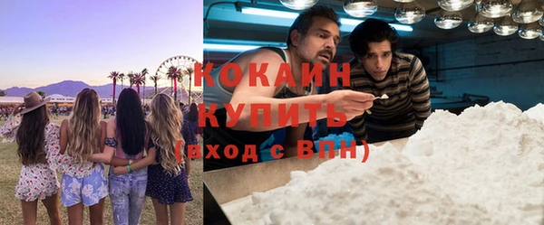 бошки Алексин
